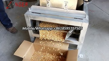Automatic Peanut Half Kernel Separator Crushing Machine Video