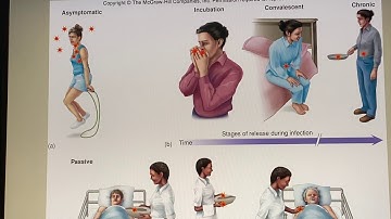 Chapter 14/15 Part 4 🤧🧫🦠🤒