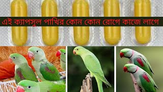 Tetracycline 500 Mg Capsule Use For Parrot And Birds (Bengali)