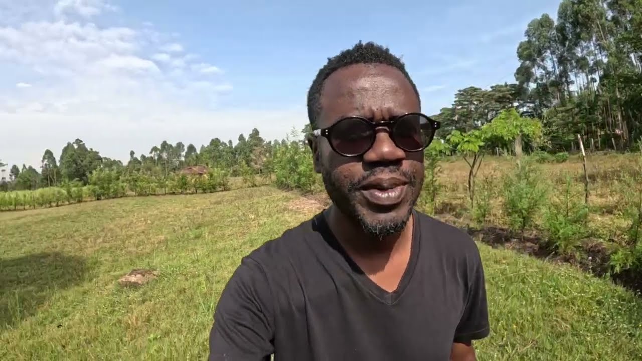 I Came Back To Check Out The Site For My Village Home