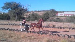 VID-20130513-00018