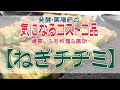 【コストコ爆買い】発酵・薬膳師の気になる『ねぎチヂミ』