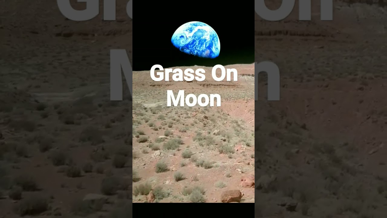 Mankind's Dream Grass on Moon 