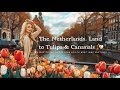 🇳🇱 “The Netherlands… Land of Tulips & Canals! Everything You Must Know Before Visiting ✨”