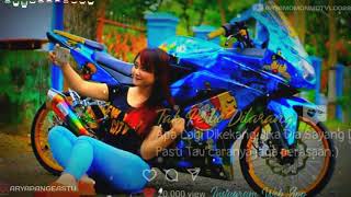 Story wa // Tak perlu dilarang/dikekang ( ninjja jari jari cantik)