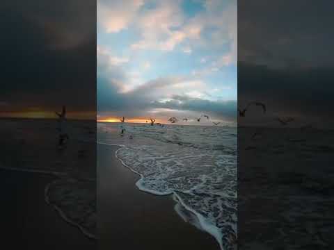 اوعى تغير من نفسك علشان خاطر حد الا بحب حد بيحبة كما هو