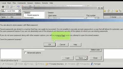 Configuring your website in WinSCP