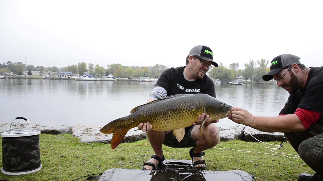 Twelve Months of Carp: October Edition