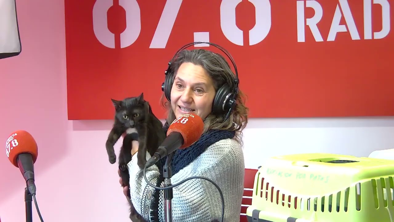 🐱 Dues gatetes a l’estudi d’Amposta Ràdio: Tuberia ja adoptada i la Nuca busca llar 💚