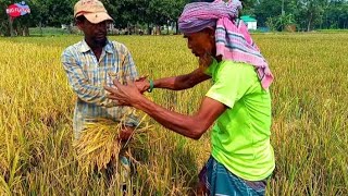 অস্থির ঝগড়া | বাংলা সেরা ফানিভিডিও ২০২৫ | ফানিভিডিও | কৌতুক | কমেডি | হাসির কৌতুক | বাদাইমা | Funny
