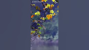 ﴿وَأَمّا مَن خافَ مَقامَ رَبِّهِ وَنَهَى النَّفسَ عَنِ الهَوى﴾|| القارئ: د. ياسر الدوسري.