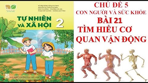 TỰ NHIÊN XÃ HỘI LỚP 2. BÀI 21:TÌM HIỂU CƠ QUAN VẬN ĐỘNG (T1). SÁCH KẾT NỐI TRI THỨC VỚI CUỘC SỐNG.
