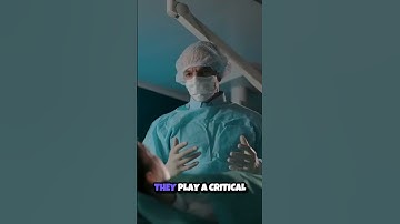 Inside the Operating Room  The Life Saving Role of Surgeons 🏥