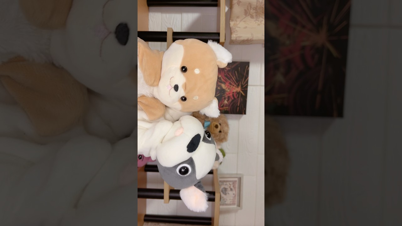 🐶❤️🩶 #キミに100パーセント #ぬいぐるみ #stuffedtoy #fypシ
