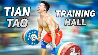 🔥 Tian Tao | FS 240 | Hold 370 | C&J 190 | BS 270 | Training Hall of IWF World Cup 2024