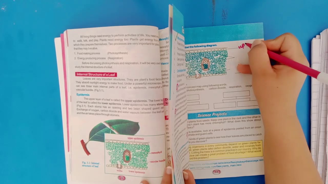Photosynthesis and Respiration in Plants Class 6 Science, Unit 3