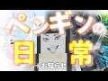 【クソ動画】ペンギンの日常＋お知らせ (1mmくらい)【Minecraft軍事部】