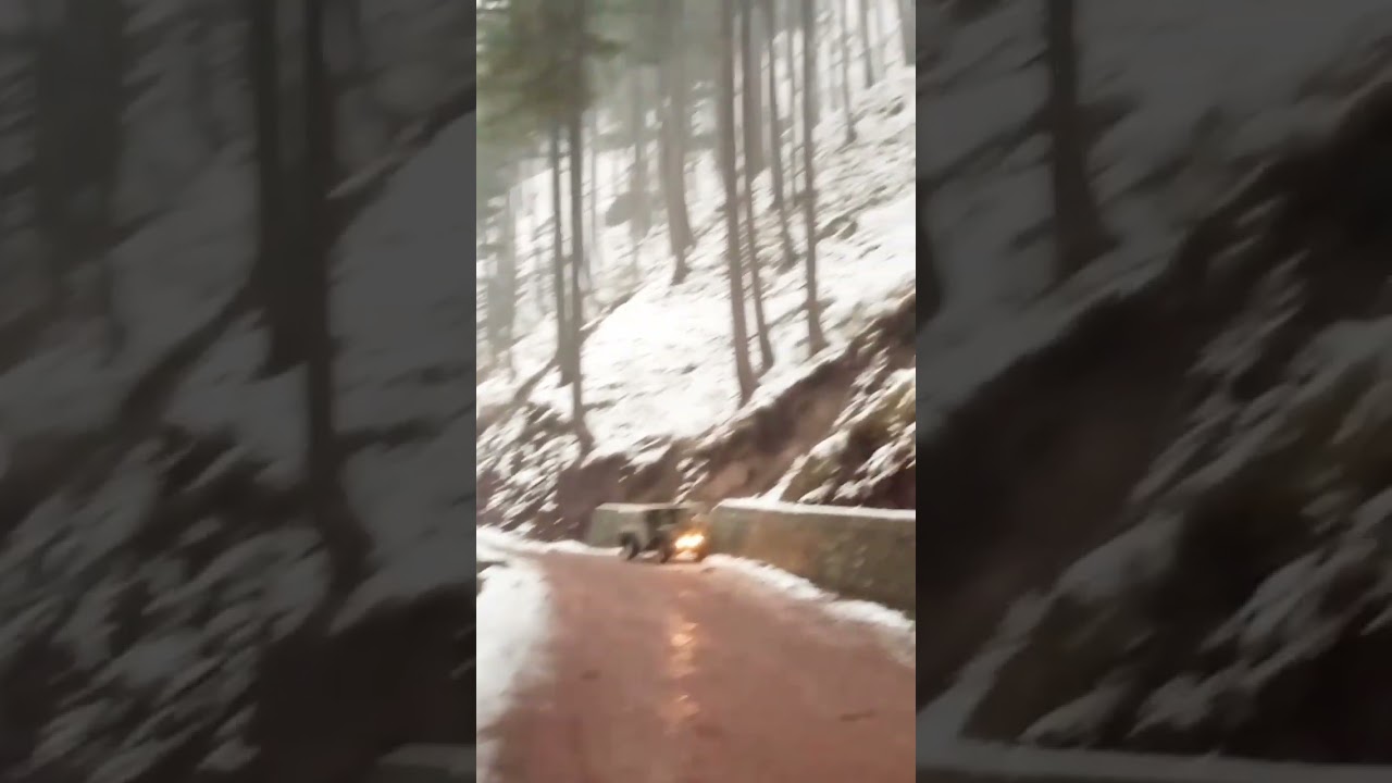 Live Snowfall Shogran Road | Naran kaghan Today | شوگران ویلی