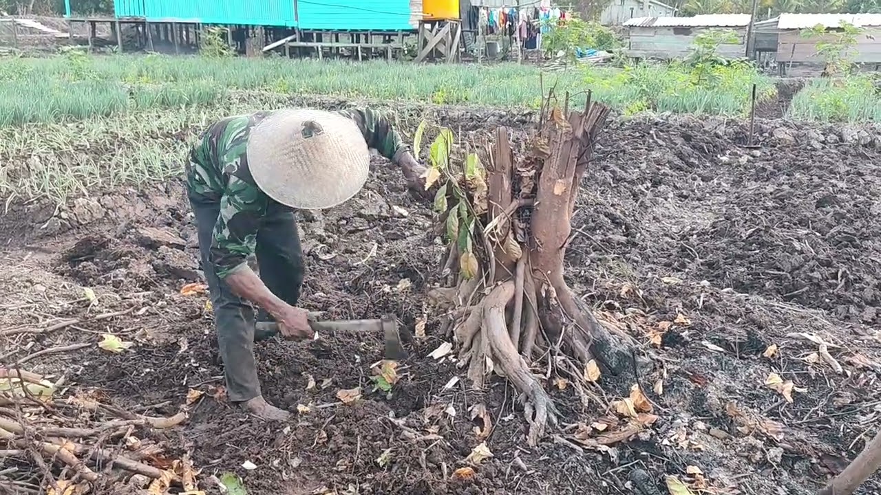 MELANJUTKAN PEMBERSIHAN TUNGGUL 