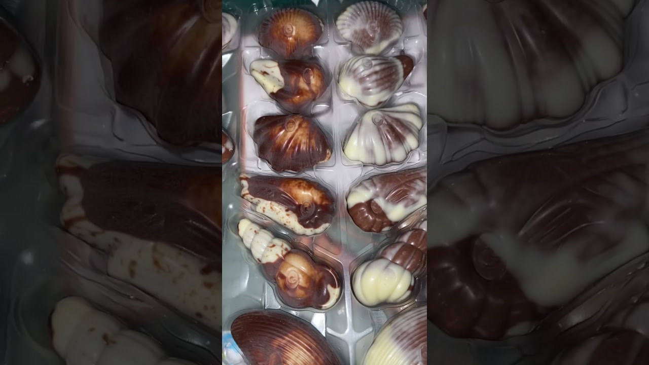 Guylian chocolate the original seashells 