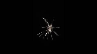 5 Triplex Shell, Big willow glittering flower.