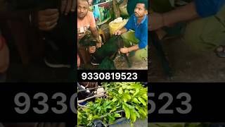 কোন বয়সের ছাগল ফার্মের জন্য উপযুক্ত#bakripalankaisekre #goatfarmingbusiness 🐐🐐💯💯##