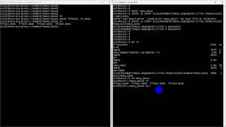 Practice SSHFS Link Folder between Client and Server