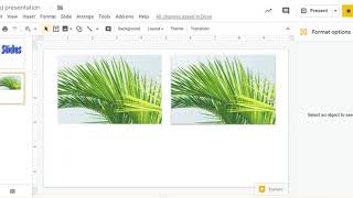 Format Options for Images in Google Slides