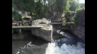 20120523_015.avi