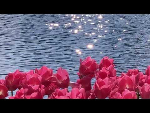 Kannmoodi thirakkum//sped up+reverb