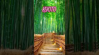 KYOTO | JAPAN🇯🇵 Watch full video⬆️