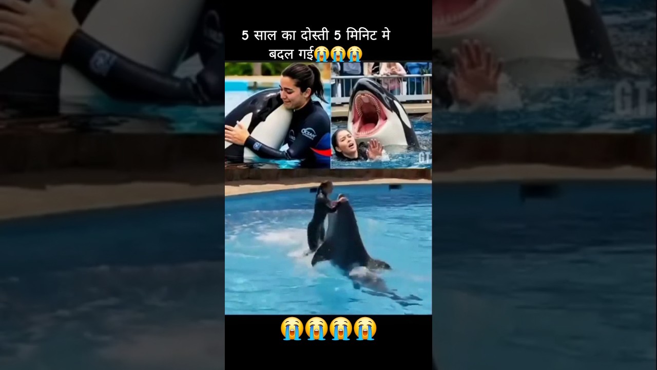 sare chin ne wale kahan tum bach ke jaaoge 