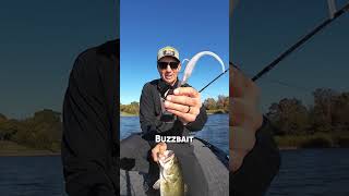 Dirty Jigs buzzbait with a 7in Basstrix DuraTrix Minnow—big profile that catches giants.
