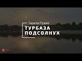Турбаза Подсолнух — уютный отдых у Волги под Саратовом