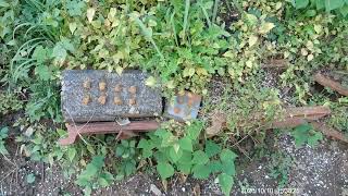 DSCF0004