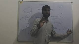 Computer Language Revision