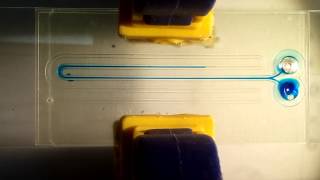 One step microfluidic device prototyping using a 3D printer