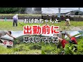 【静岡県】田舎カフェの営業は草刈りから始まります！🌱☕️
