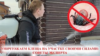 видео: Можно ли уничтожить клеща на дачном участке картинка: Можно ли уничтожить клеща на дачном участке