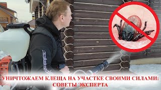 Можно ли уничтожить клеща на дачном участке