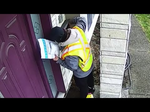 Thief poses as Amazon delivery driver in British Columbia | Caught on camera