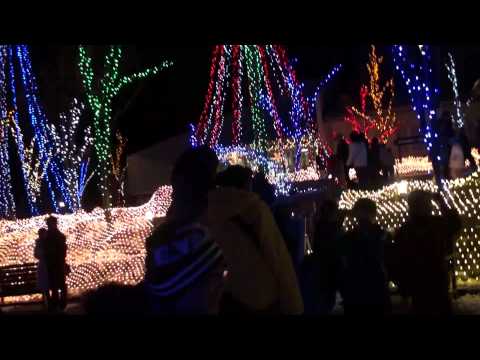 国営アルプスあづみの公園　森の光物語　2009