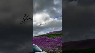 Download Lagu love is gone ... #kpop #seventeen #seventeen #joshua #emotional MP3