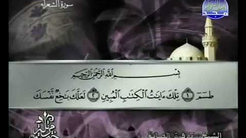 القران الكريم|الجزء التاسع عشر (19)|الشيخ توفيق الصائغ HOLY QURAN|PART 19|Tawfeeq al-Sayegh