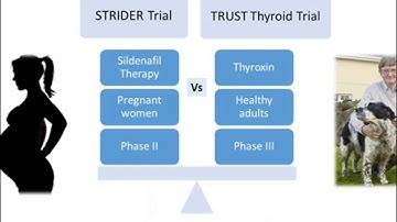 Caroline Hurley webinar Risk based monitoring and the introduction of the new ICH-GCP guidelines