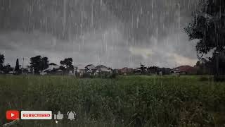 Heavy Rain and Thunder Sounds for Sleeping  Deep Sleep and Relaxation