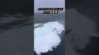 #Яхта в #шторм #shorts #yacht #maxmaster #storm #collision #disaster #waves #sea #шторм #волны