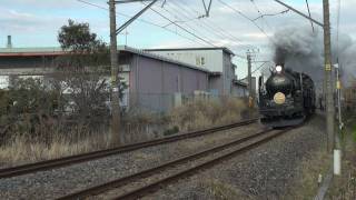【SL内房100周年記念号】 C61 20 + 旧型客車 営業運転 汽笛 爆煙 HM付 HD