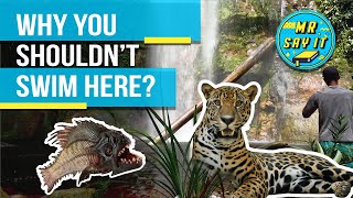 HOW TERRIFYING IS THE AMAZON RIVER ? WHY DONT PEOPLE DARE TO SWIM THERE?