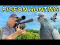 Shooting pigeons like a sniper with a fx impact m3 catch clean cook